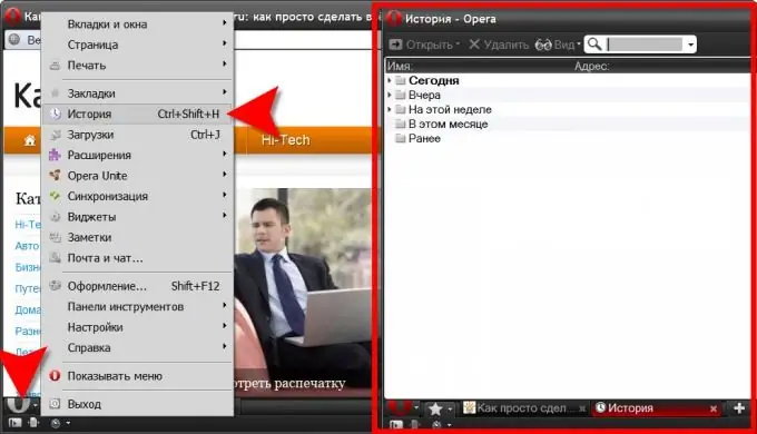 Opera: ιστορικό περιήγησης