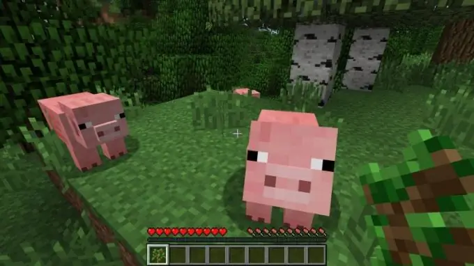 Hvordan starte minecraft