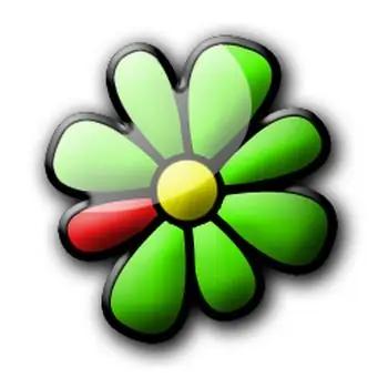 Working with the ICQ application is not as easy at first glance as it might seem