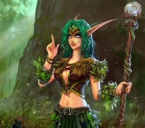 Cara bermain sebagai druid