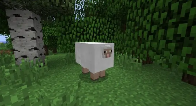 Jak zrobić nożyczki w Minecraft