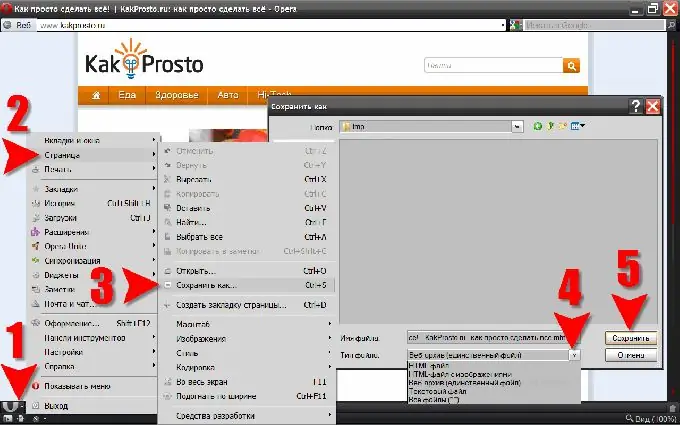 Spremanje web stranica u Operi