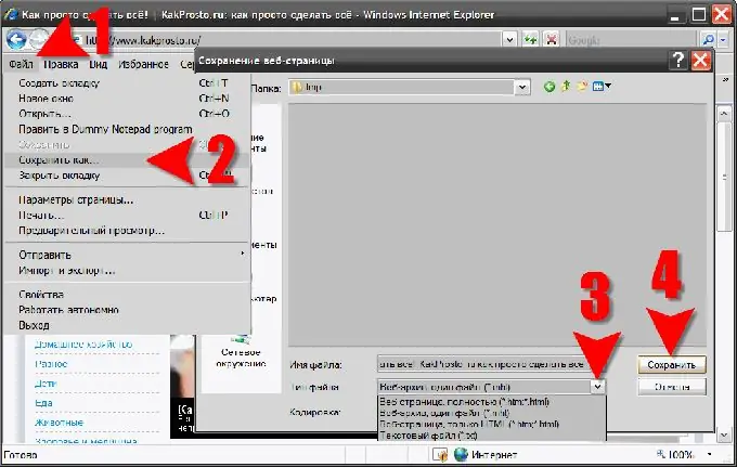 İnternet səhifələrinizin Internet Explorer-də saxlanılması