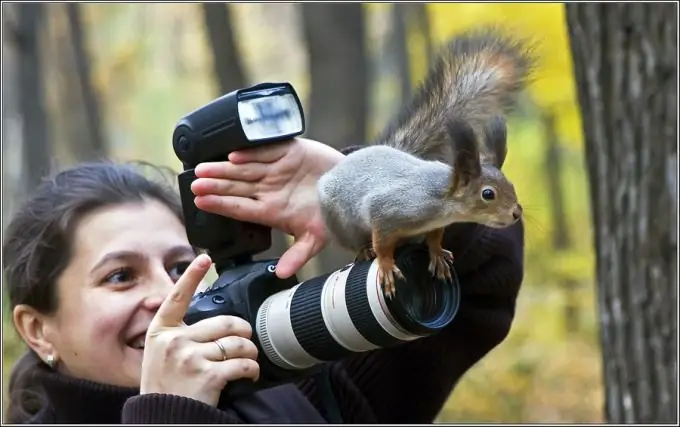 Kako lepo okrasiti svojo fotografijo