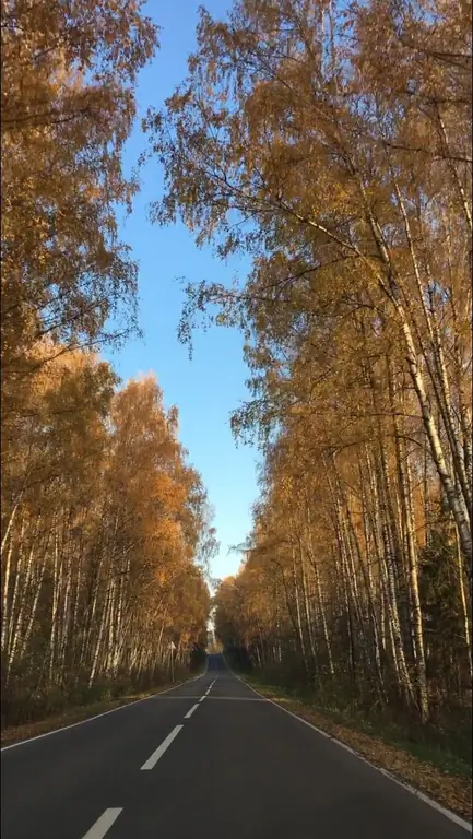 Kako preuzeti fotografiju s Instagrama na telefon