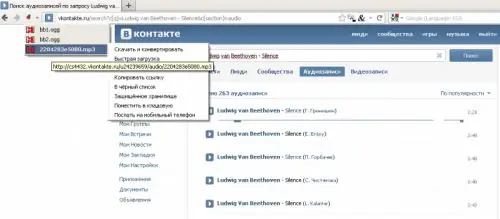 Vkontakte. पर संगीत और वीडियो कैसे डाउनलोड करें