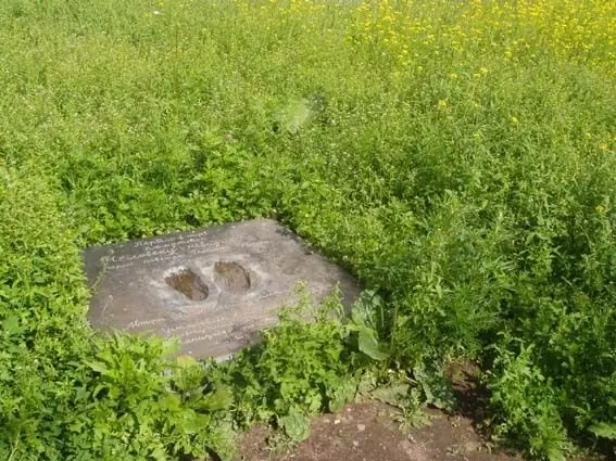 Kuinka olla näkymätön verkossa